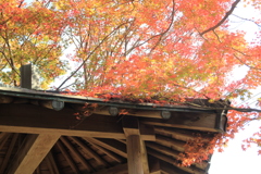 迎仙閣の紅葉