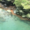 渓谷の清流(^^)/