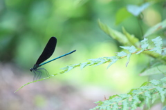 綱渡り(^^)/