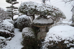 雪やコンコン、積もりました(^^♪