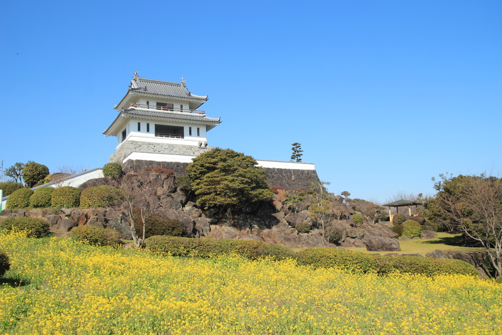 竹崎城址と菜の花