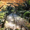 諫早公園の紅葉Ⅱ