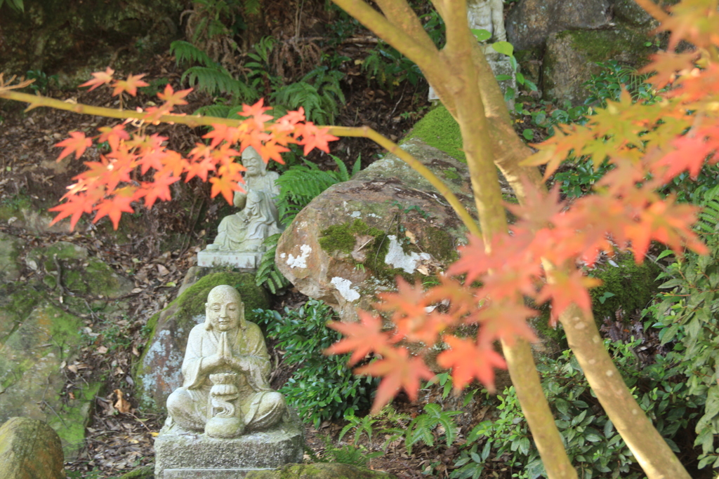 秋のお地蔵さん(^^)/
