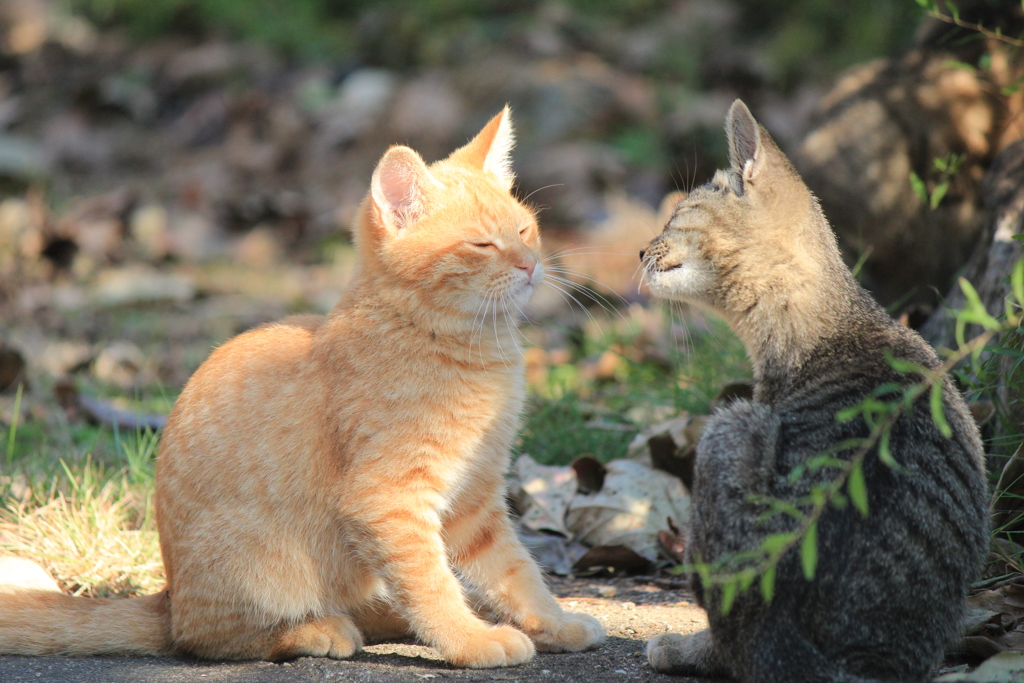 キスの予感(^^♪