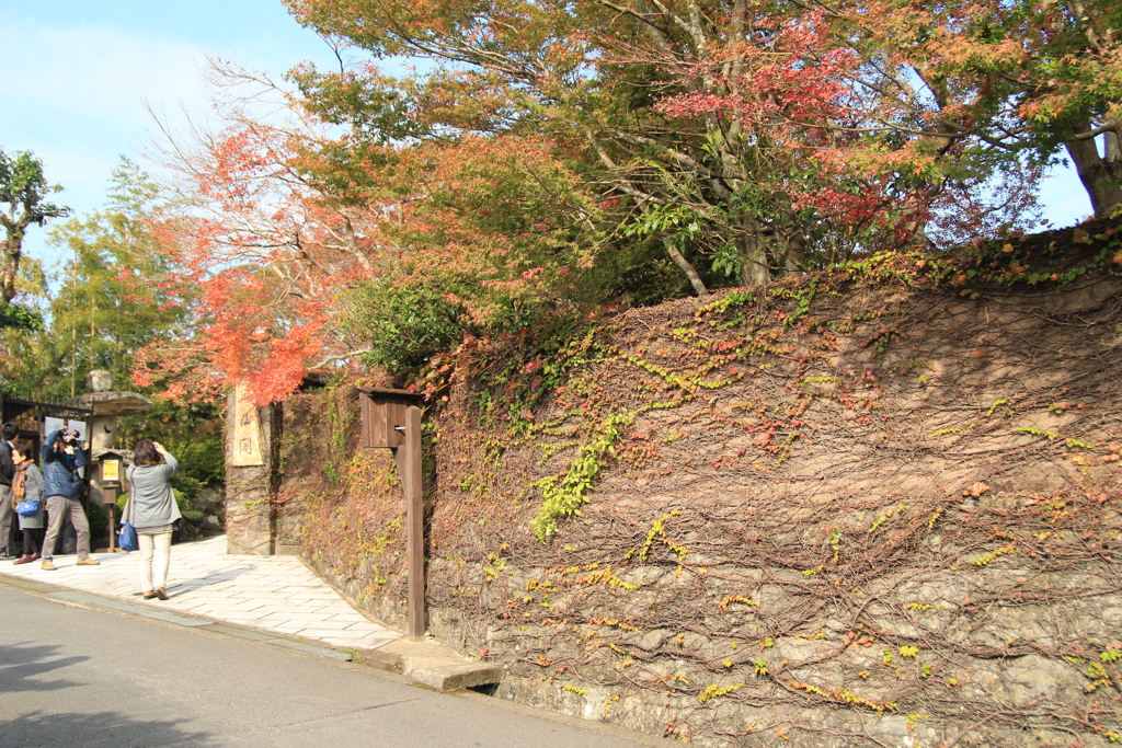 みなさん写真撮影に夢中ですね。