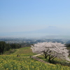 春の白木峰高原(^^)/