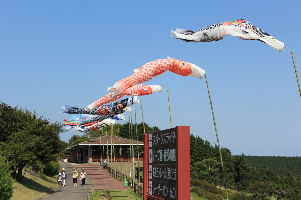 鯉のぼりの季節(^^)/