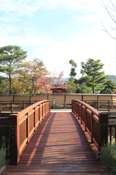 秋の散歩道