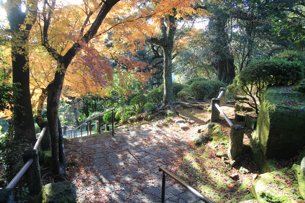諫早公園の紅葉