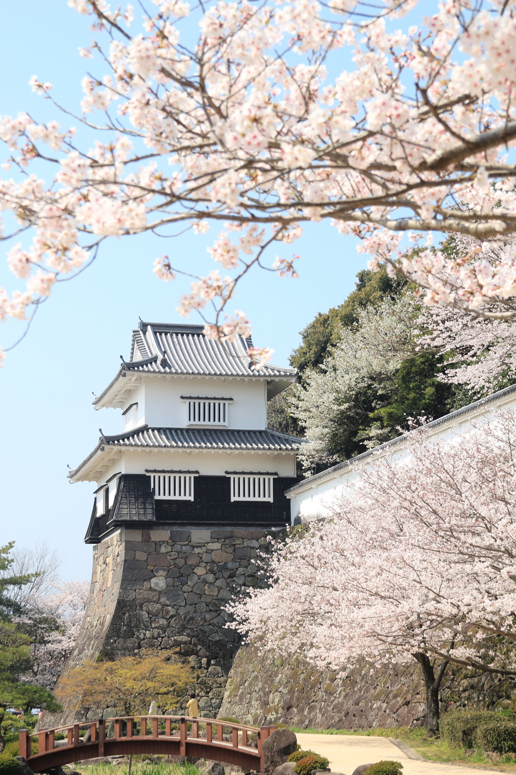 SAKURA(^^♪
