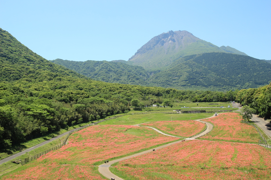 ポピーの花の里と平成新山(^^)/