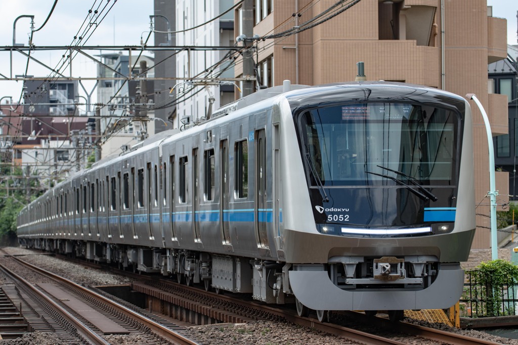 新参者現る