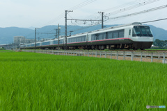 初夏の田園風景とロマンスカー エクセ アルファ(補機ver.)