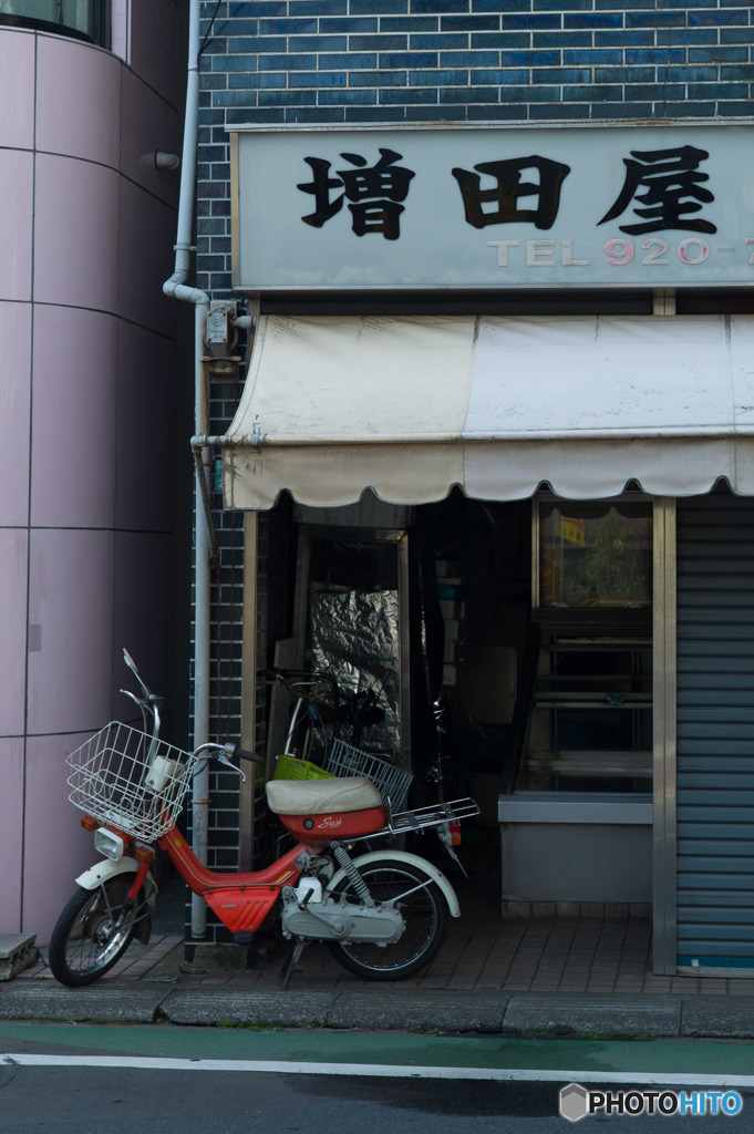 スージーのいる風景