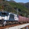 鉄橋を渡って(オマケ)