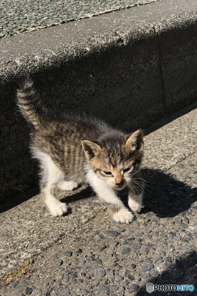 前略、路上にて