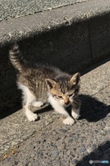 前略、路上にて