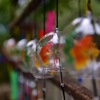 かえる寺の風鈴