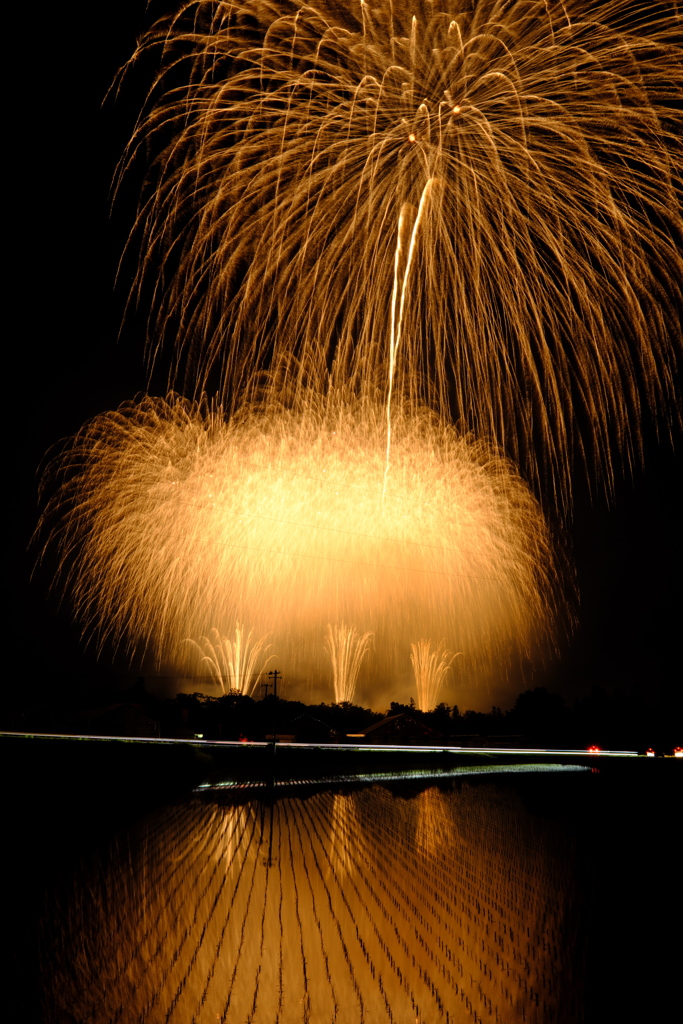 空に咲く花6