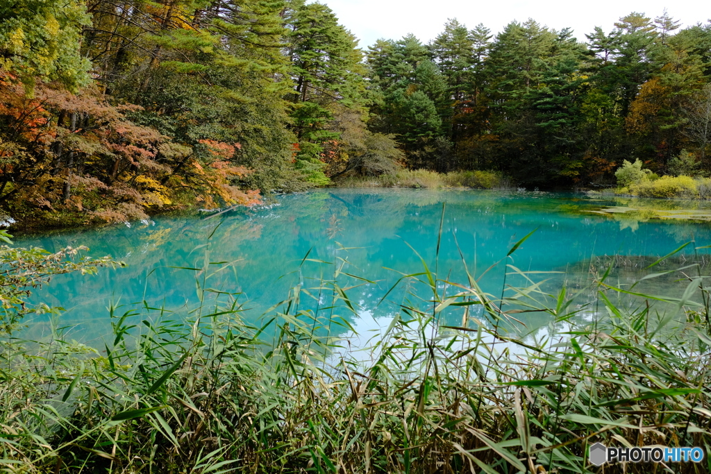 五色沼(青沼)