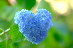 Blue Heart