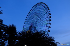 DSCF8283