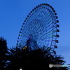DSCF8283