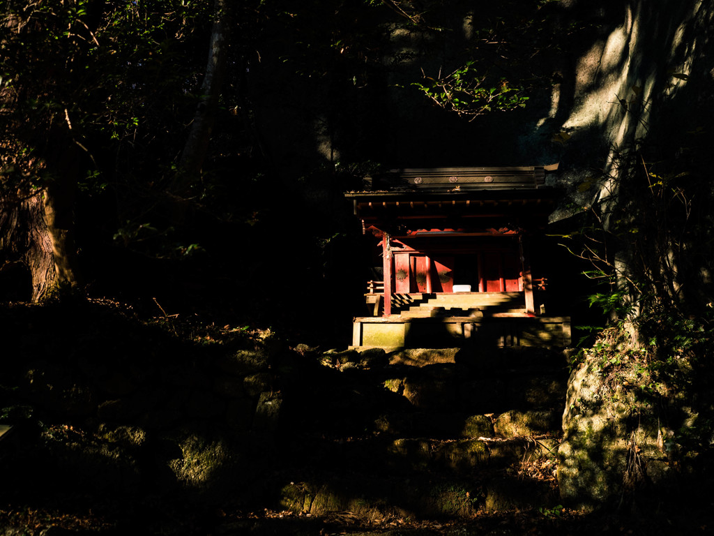山の朝