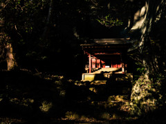 山の朝