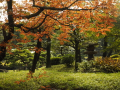 清澄庭園