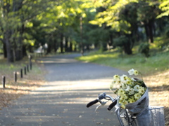 お土産