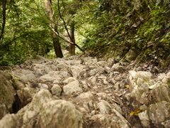 高尾山