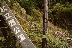 杖立西公園