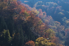 層。