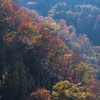 層。