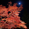 くれなゐの先に月ひかる。
