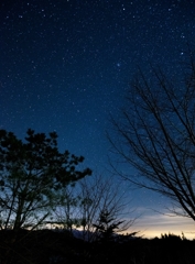 夜空のカニ味噌…？