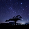 山梨の木と星空