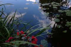 monet giverny 3