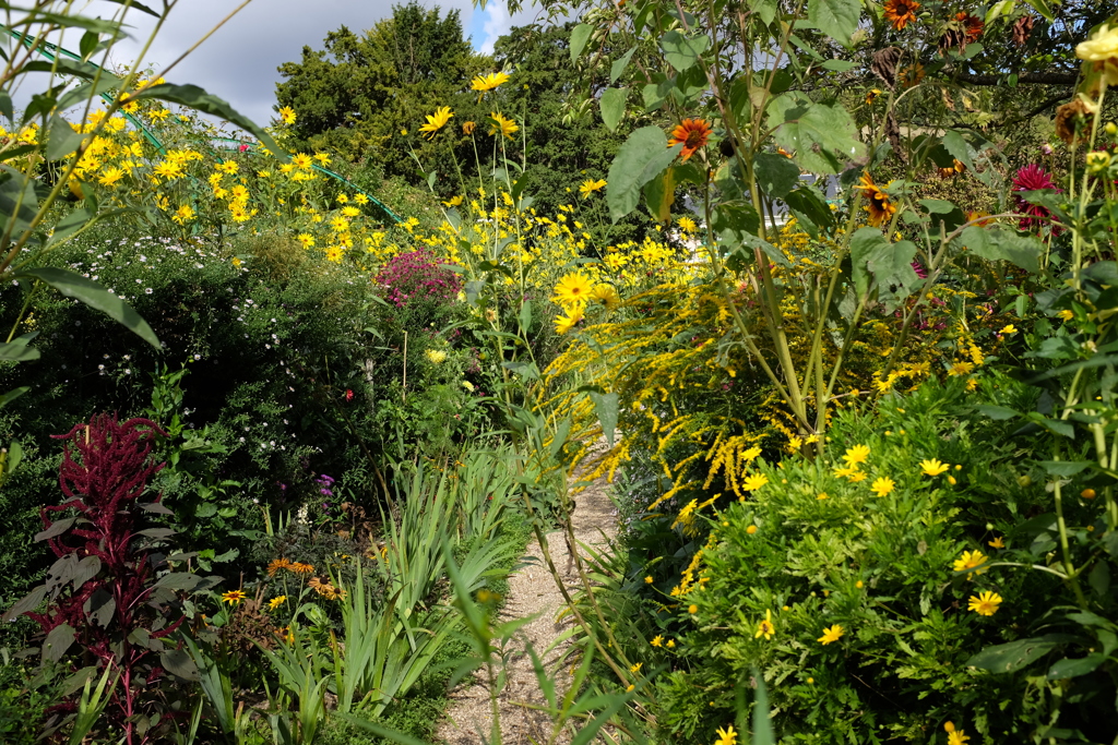 monet giverny 4
