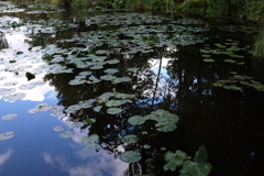 monet giverny 5