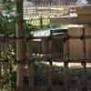 P8011781 - Copy