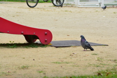 大阪・玉造　東小橋北公園3