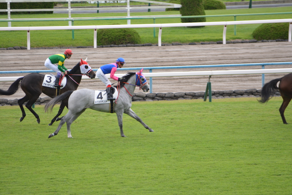 淀競馬場6