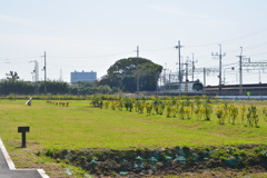 枚方・樟葉台場跡04