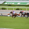 淀競馬場3