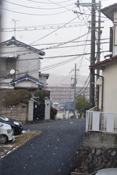 2016/01/15　雪の八幡08、自宅庭より。