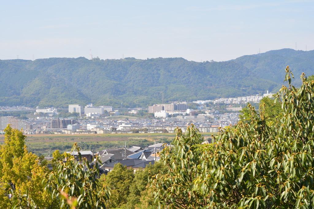 京都八幡市から天王山系2