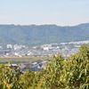 京都八幡市から天王山系2