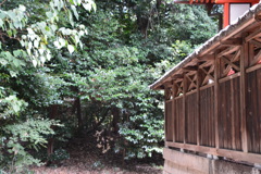 20180902枚方・片野天神社②